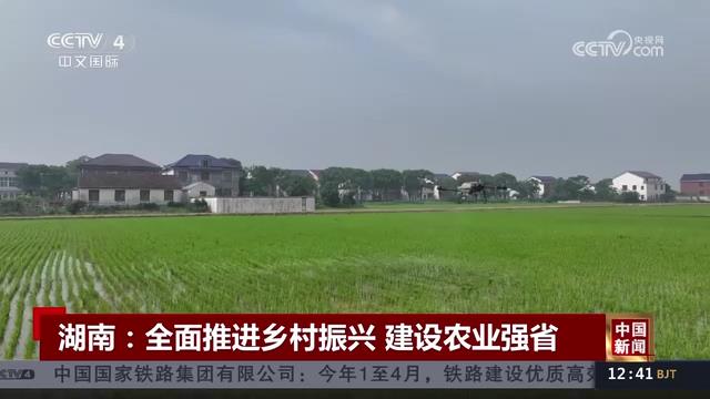 央视【中国新闻】湖南：全面推进乡村振兴 建设农业强省