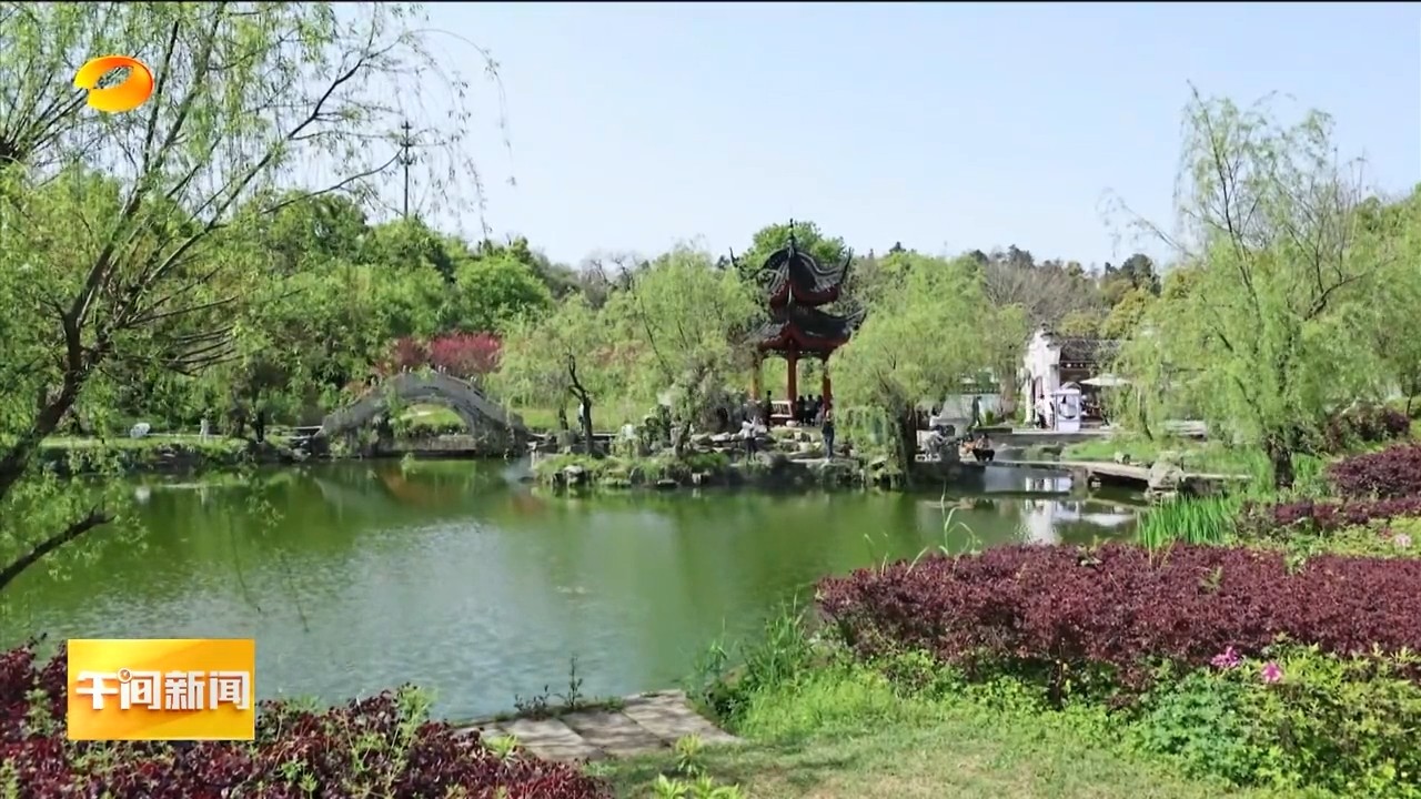 湖南卫视【午间新闻】我们的节日·清明 不负春光与时同行 湖南文旅迎来“小阳春”