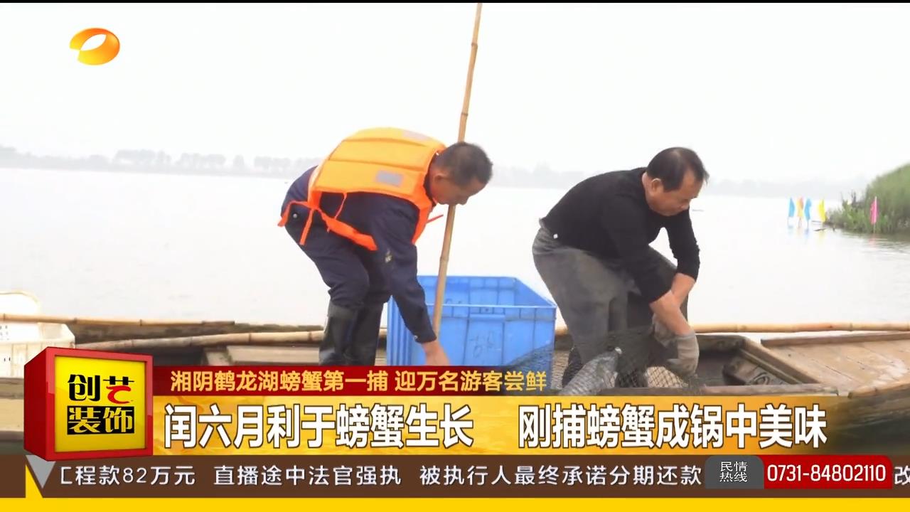 湖南都市【都市一时间】湘阴鹤龙湖螃蟹第一捕 迎万名游客尝鲜 闰六月利于螃蟹生长 刚捕螃蟹成锅中美味