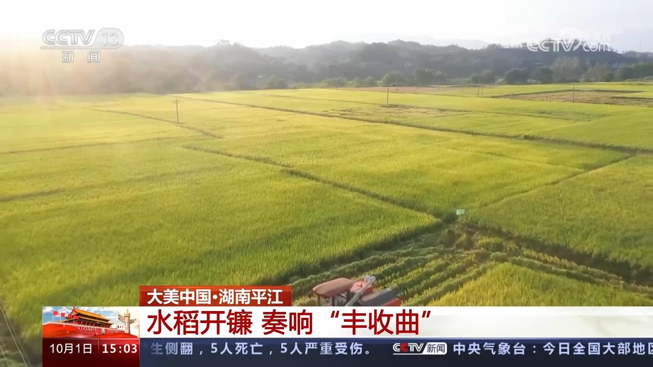 央视【多彩假日 活力中国】大美中国·湖南平江：水稻开镰 奏响“丰收曲”