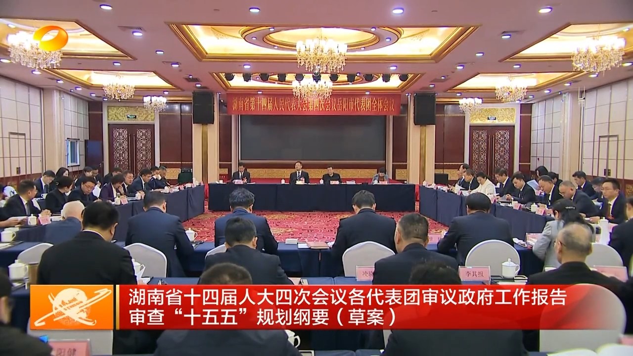 湖南卫视【湖南新闻联播】湖南省十四届人大四次会议岳阳市代表团审议政府工作报告 审查“十五五”规划纲要（草案）