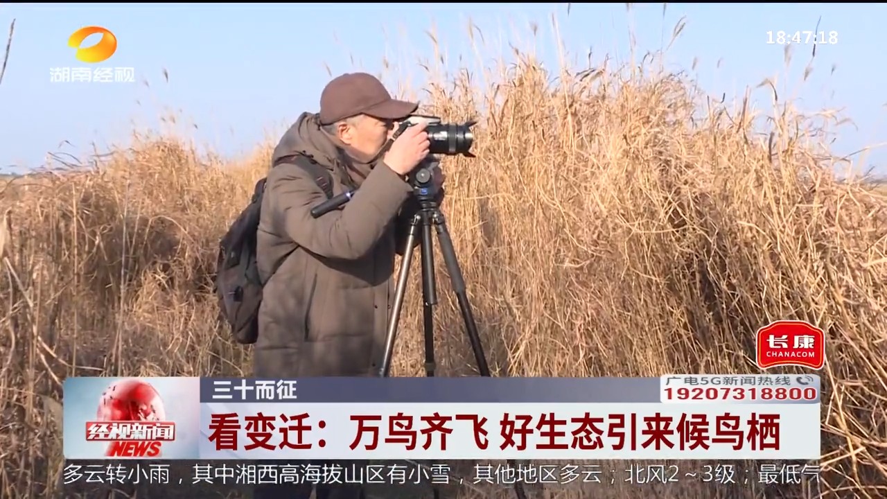 湖南经视【经视新闻】三十而征 看变迁:万鸟齐飞 好生态引来候鸟栖