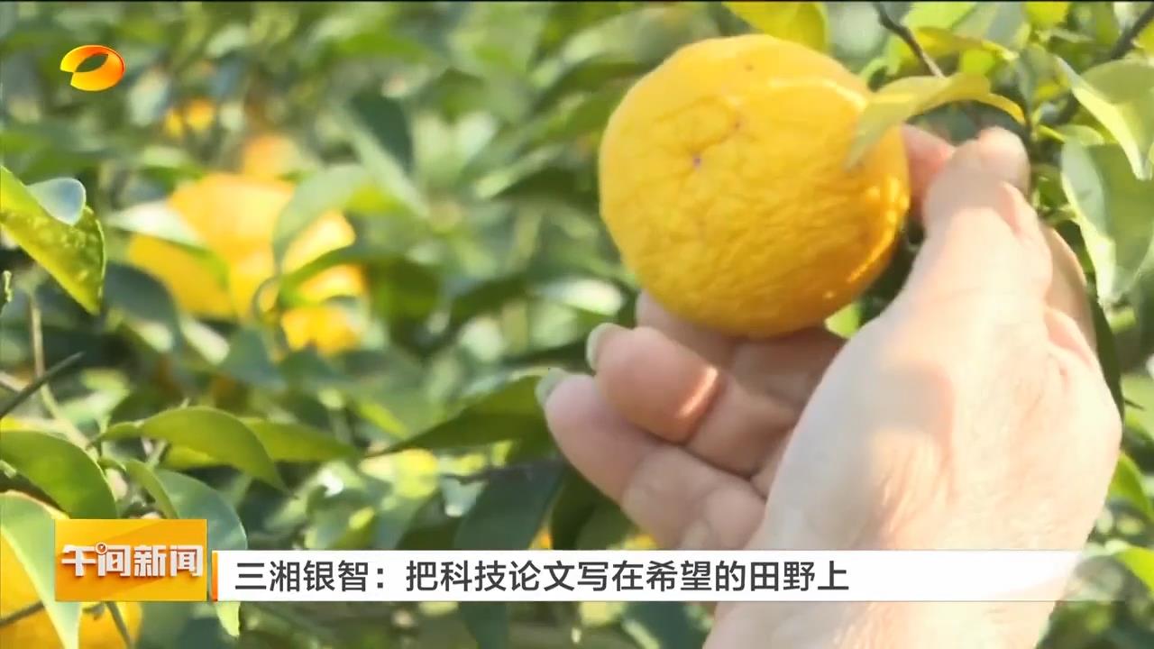 湖南卫视【午间新闻】三湘银智：把科技论文写在希望的田野上