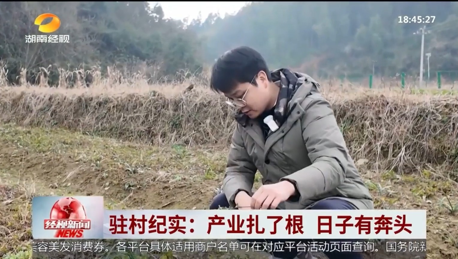 湖南经视【经视新闻】驻村纪实:产业扎了根 日子有奔头