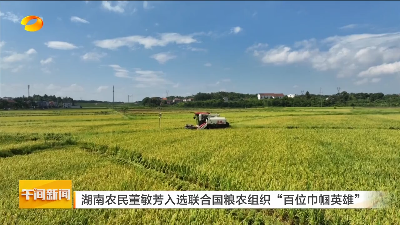 湖南卫视【午间新闻】湖南农民董敏芳入选联合国粮农组织“百位巾帼英雄”