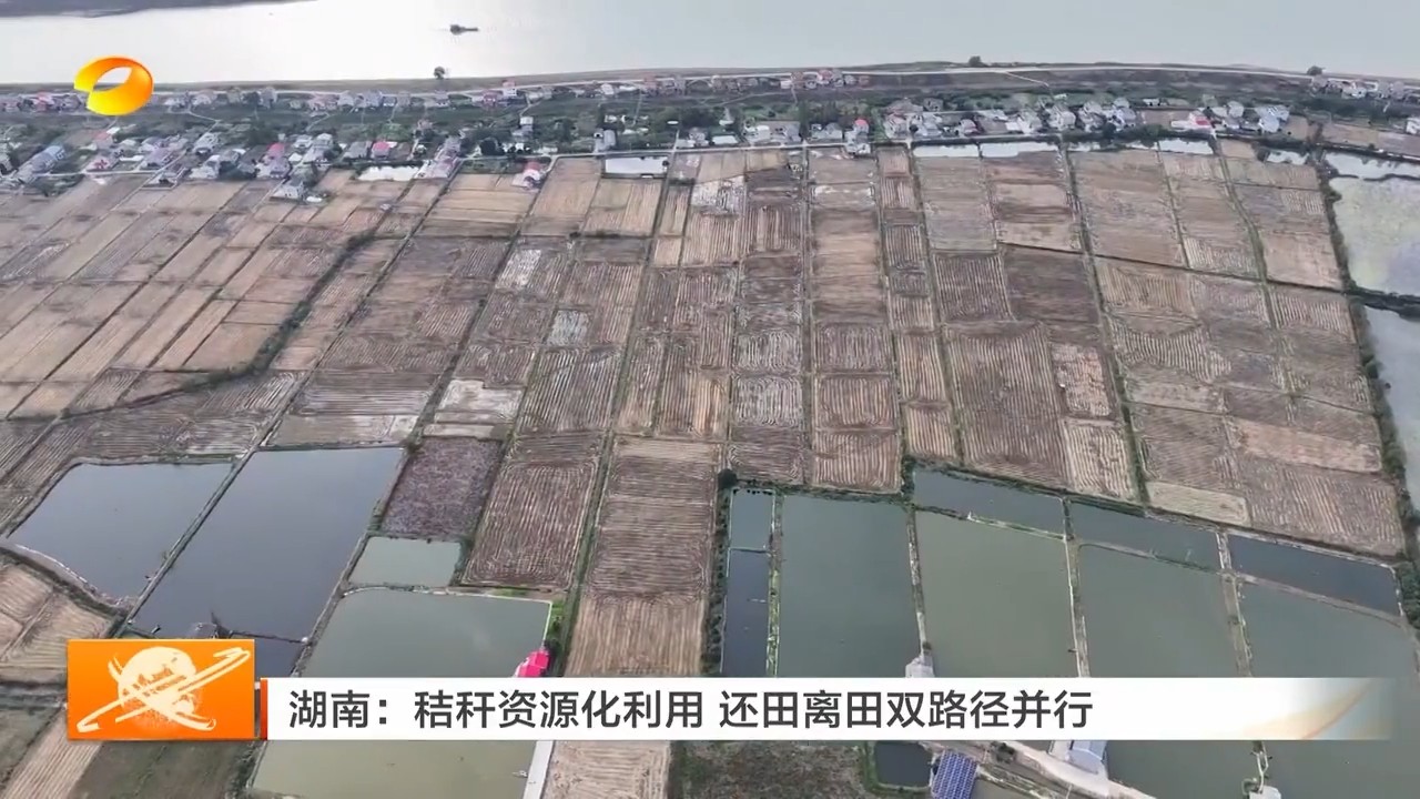 湖南卫视【湖南新闻联播】岳阳：秸秆资源化利用 还田离田双路径并行