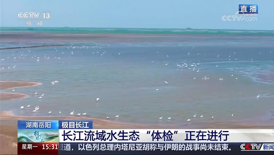 【央视·新闻直播间】极目长江  科学考评赋能 长江也要常“体检”