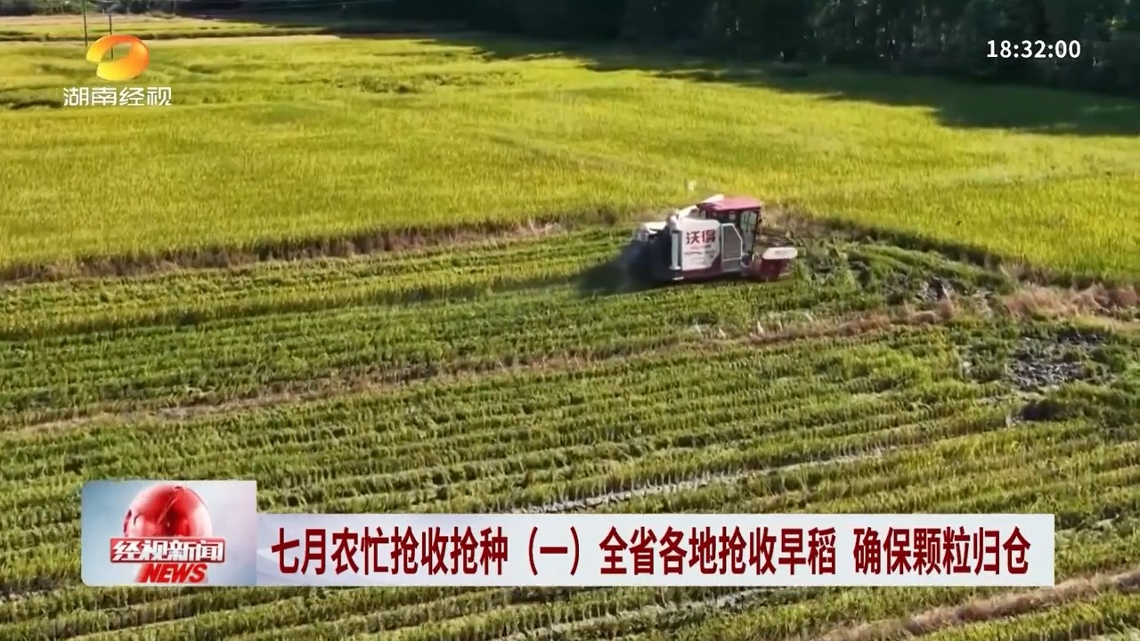 湖南经视【经视新闻】岳阳临湘抢收早稻 确保颗粒归仓
