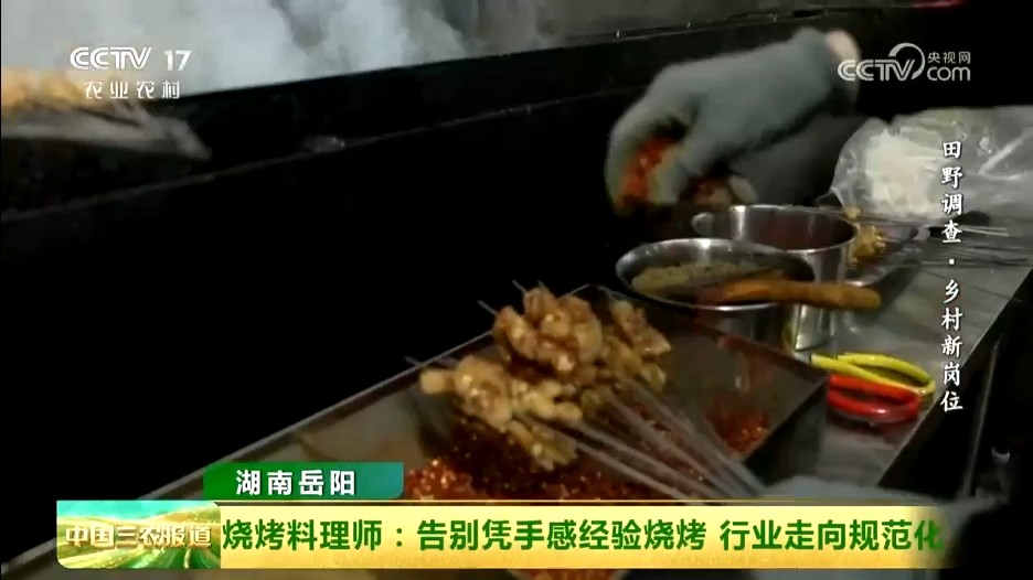 央视【中国三农报道】湖南岳阳 烧烤料理师:告别凭手感经验烧烤 行业走向规范化