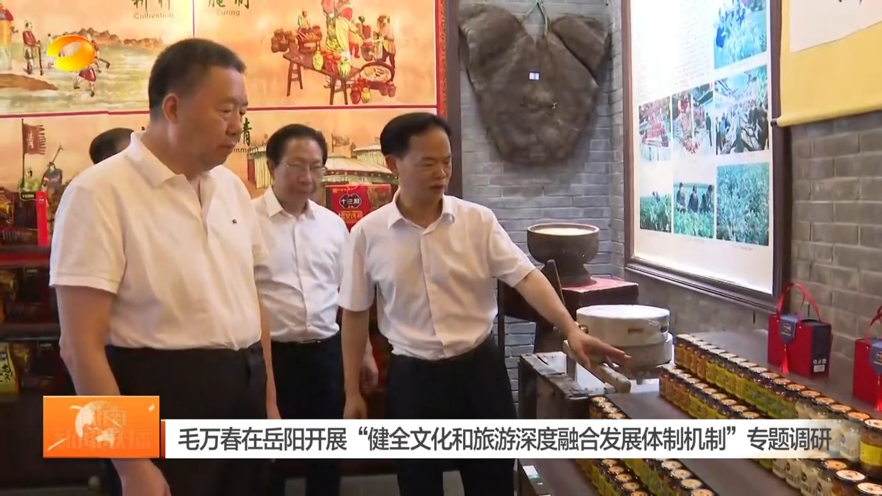 湖南卫视【湖南新闻联播】毛万春在岳阳开展“健全文化和旅游深度融合发展体制机制”专题调研