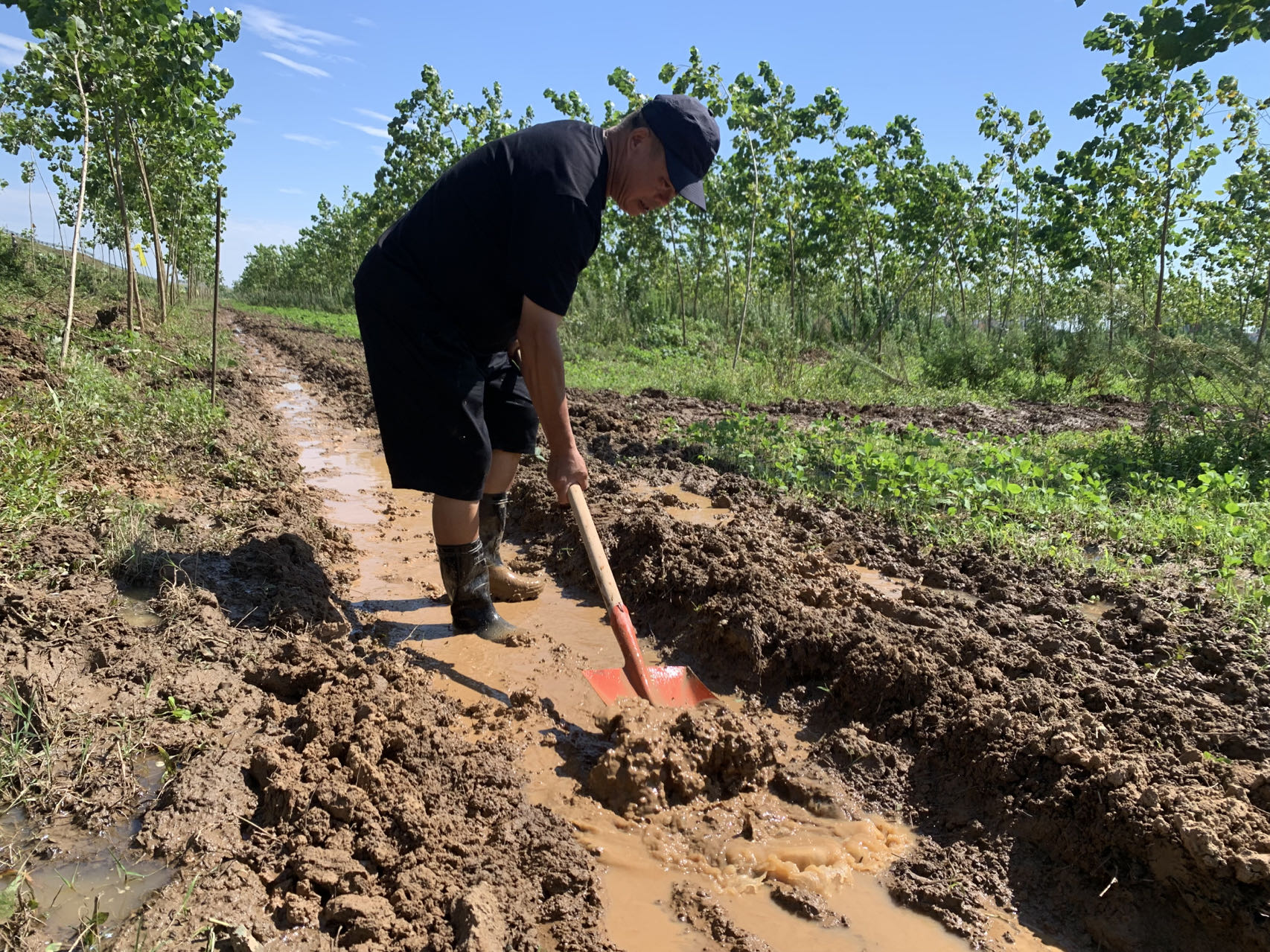 前,工作人员在摸排需要清沟沥水的地块后,及时安排机械和人工挖沟排水